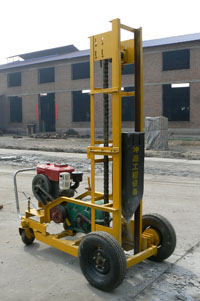 ȼ������